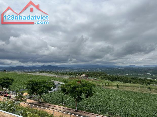 ĐẤT VIEW SĂN MÂY 1000M2 - CÓ THỔ CƯ, SỔ HỒNG RIÊNG - LÂM HÀ, LÂM ĐỒNG (VEN ĐÀ LẠT) - 3