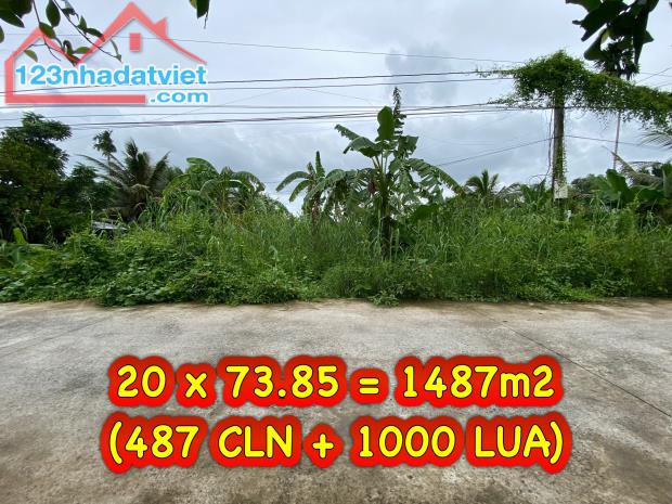 #249 || Đất Công 1487m2 Lộ Ô Tô, Mương Ngang, Nhơn Ái, Phong Điền.