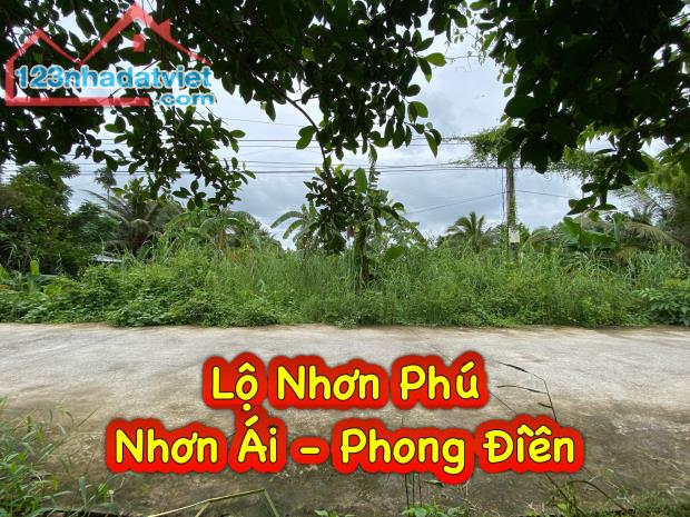 #249 || Đất Công 1487m2 Lộ Ô Tô, Mương Ngang, Nhơn Ái, Phong Điền. - 1