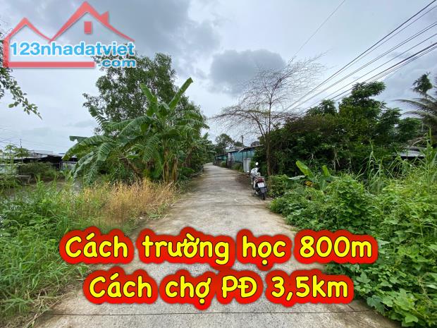 #249 || Đất Công 1487m2 Lộ Ô Tô, Mương Ngang, Nhơn Ái, Phong Điền. - 3