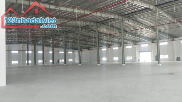 Cho thuê Xưởng mới 12.000m2, Gía : 95.000 đ/m²/tháng trong KCN Bầu Bàng Bình Dương - 2