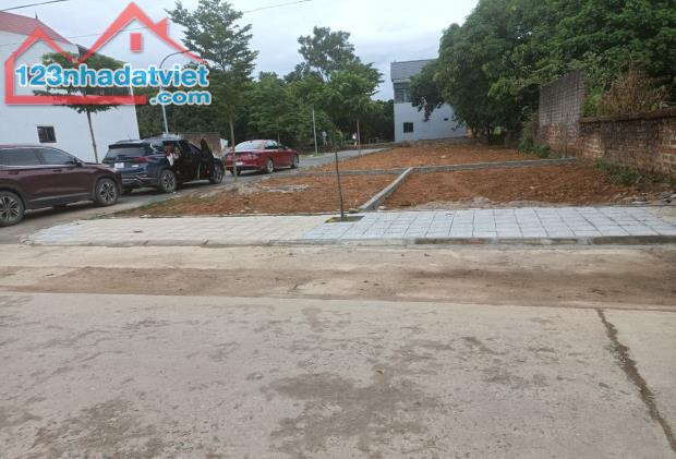 [BÁN GẤP] Lô đất chính chủ 260triệu (15x25)=375,3m2 Sổ riêng Bình Phước gần QL13 - 1