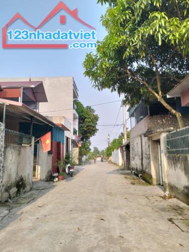 Bán đất Thanh Xuân, Sóc Sơn , diện tích 200m , giá bán 4.8tỷ - 3