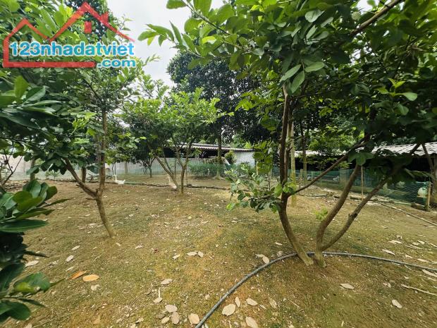 CHÍNH CHỦ GỬI BÁN LÔ ĐẤT VIEW CÁNH ĐỒNG SẴN NHÀ CẤP 4 CÓ DIỆN TÍCH 1240m2 GIÁ RẺ - 4