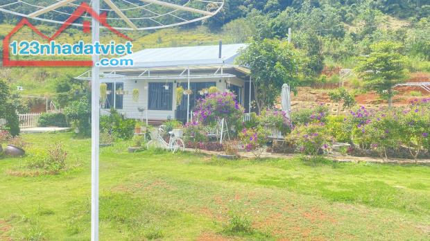 Đất kèm homestay kiểu mẫu đẹp, còn rất mới, thuộc trung hiệp, hiệp an, đức trọng - 2