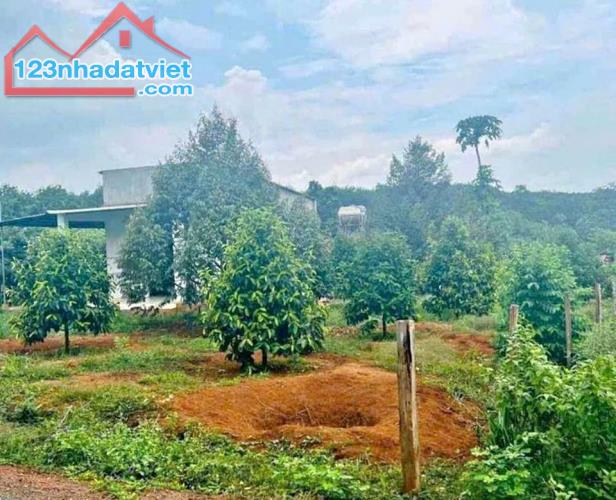 Bán lô đất 2000m2, giá 330tr, ngay trung tâm đồng xoài