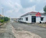 Cho thuê xưởng sản xuất tại Tam Phước, Biên Hòa, 15.500m2, giá thuê 350tr.