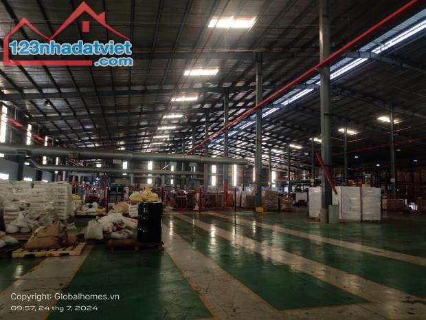 [LA62P1B-1] BÁN KHO XƯỞNG 21.600M2 KCN ĐỨC HOÀ, TỈNH LONG AN - 2