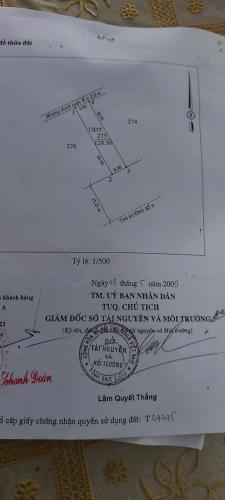 CHÍNH CHỦ CẦN  BÁN GẤP 3 NỀN LIỀN KỀ (275-276-277), Hướng Đông Nam Tại Phường 5, TP Bạc - 3