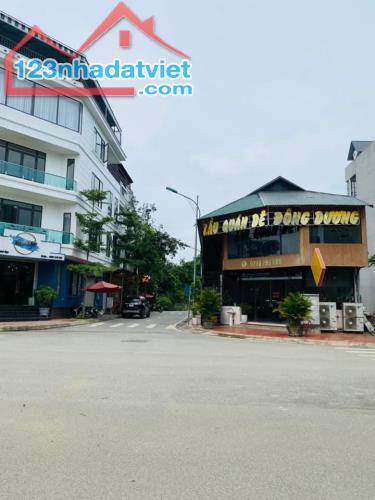 Bán đát trung tâm thị trấn Lương Sơn 75m , Đất đẹp tiềm năng cao, thanh khoản dễ - 2