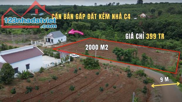 Chủ cần bán nhanh trong tuần miếng đất 2000m2 Chủ ngừng canh tác nhượng lại miếng đất vườn