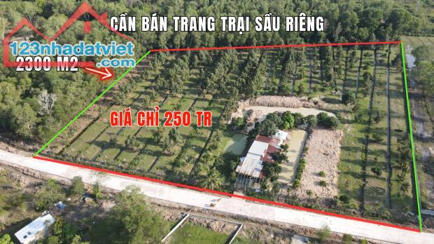 kẹt tiền quá rồi bán gấp đất vườn sầu riêng  chỉ từ 250 riệu 2300 m2, đường nhựa