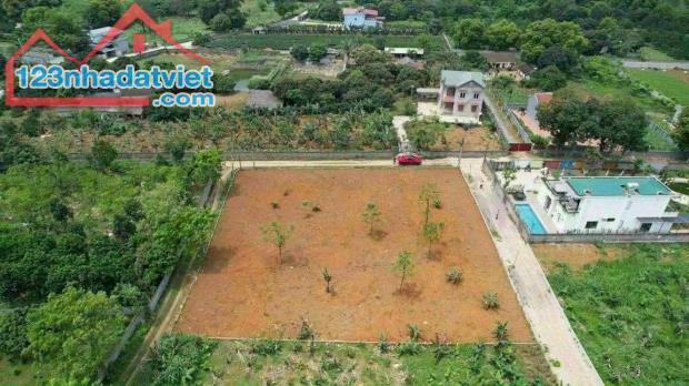 Đất siêu đẹp Lương Sơn, Hòa Bình 2025m2, giá 5 tỷ - 1