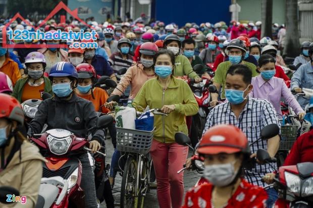 VỢ CHỒNG TÔI CẦN BÁN GẤP 3.000M2 SÁT CHỢ DÂN CƯ ĐÔNG ĐÚC - 2