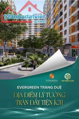 Dự án Evergreen Tràng Duệ có vị trí nằm tại trung tâm khu đô thị KĐT Seoul Ecohome Tràng - 2