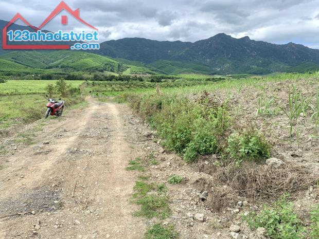 Cần bán lô đất sổ: 44646m2 Giá: 1,3tỷ/ha (3,5 ha) Liên hệ: 0822211968 Minh Nhật