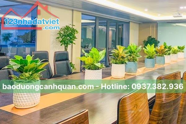 Cung cấp cây nội thất, cây văn phòng ở HCM, Đồng Nai, Bình Dương