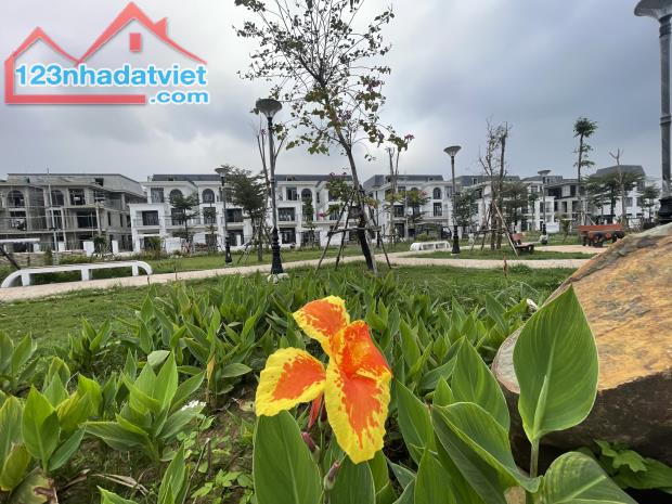 🏡Chuyển nhượng Biệt thự 300m2 giá chỉ hơn 50tr/m2 tại HUD Mê Linh Central - Đóng tiến độ - 1