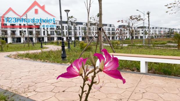 🏡Chuyển nhượng Biệt thự 300m2 giá chỉ hơn 50tr/m2 tại HUD Mê Linh Central - Đóng tiến độ - 5