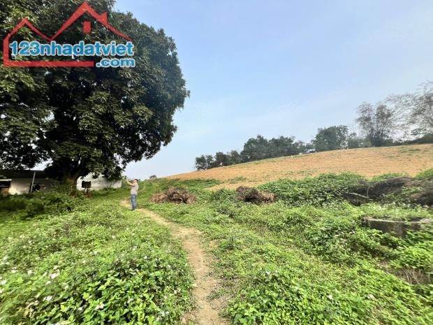 bán đất nghỉ dưỡng 5200m có 350m thổ cư Liên Sơn Lương Sơn Hòa Bình view cánh đồng cực đẹp - 3