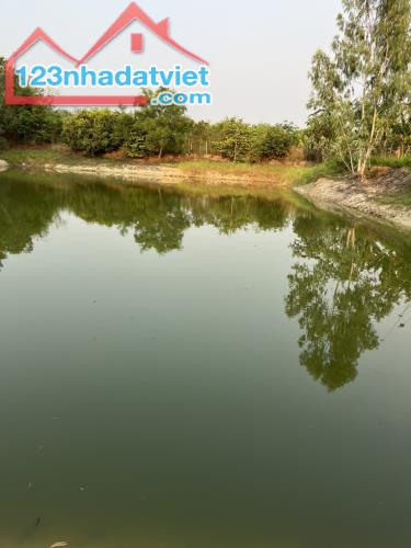 Đất chính chủ giá tốt giáp TP Tây Ninh khu vực suối núc (đường 793 vào 100m) - 3