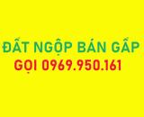 [BÁN GẤP] 2.300M2 GIÁ NGỘP ĐƯỜNG LỚN SÁT KCN ĐƯỜNG 22M CÓ CÔNG NHÂN HOẠT ĐỘNG ĐÔNG