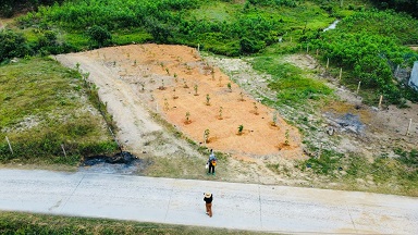 Chính Chủ Cần Bán Lô đất tại chỉ Thôn Ba Dùi, xã Khánh Bình, huyện Khánh Hòa, tỉnh Khánh - 3