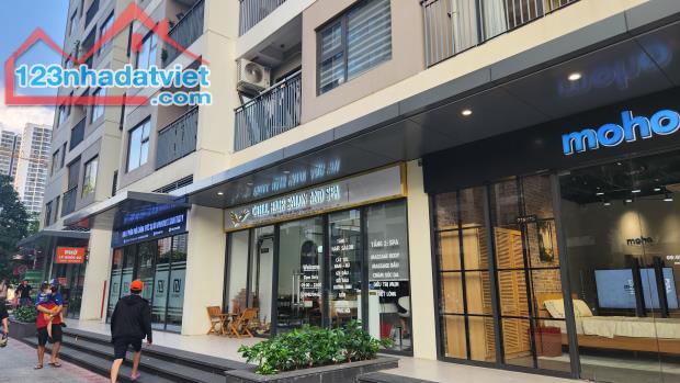 Căn shophouse có diên tích 54(m2) giá bán thuê hàng tháng 30 triệu - 3