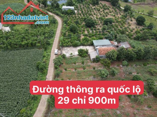 Bán Đất Thị Xã Buôn Hồ 656m2 có 60 thổ Giá 289TR - 1