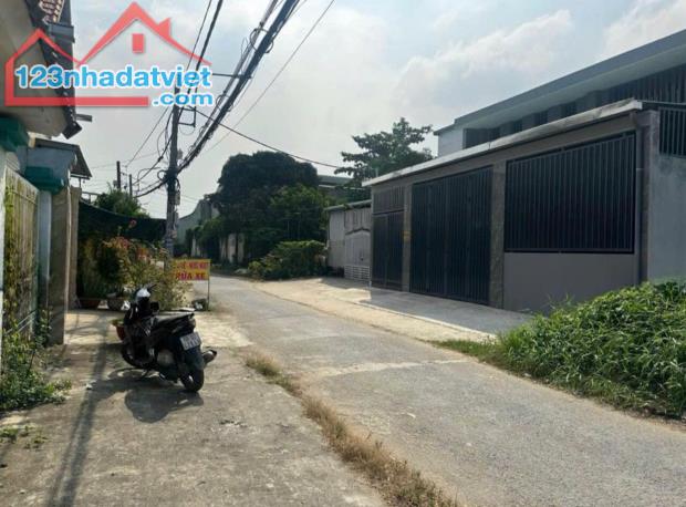 Đất tôi mua lúc sốt 2019 gần 600 triệu ở xã Tân Thạnh Đông, DT : 150m2, Sổ Riêng - 1