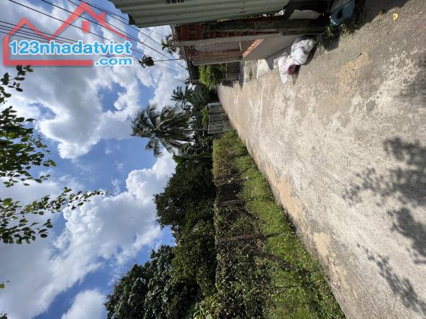 Lô Đất Vườn Măng Cụt An Sơn 37, Gần Sông Sài Gòn, Cách Đường Vành Đai 3 Chỉ 500m - 1