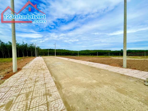 1000m2 tân phước, đồng phú, giá chỉ từ 160trieu là mua dc, sổ hồng riêng bao sang tên