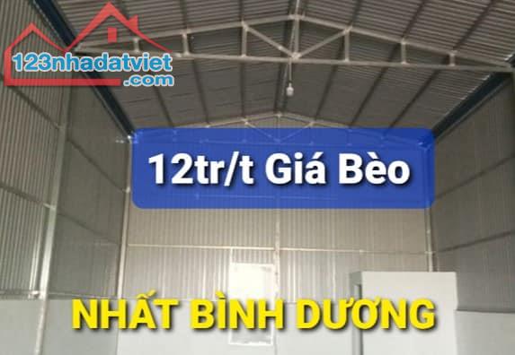 Nhà Cho thuê 8,1 x 25 = 12tr/t Vĩnh Tân Tân Uyên Bình Dương - 4