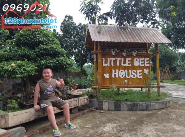 Cơ hội đầu tư khu nghỉ dưỡng Little Bee House Lương Sơn, Hòa Bình, giá đầu tư