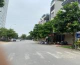 Siêu phẩm đất đấu giá Mậu Lương Hà Đông, phân lô ô tô 65m2 MT5.5m view công viên 12.99 tỷ