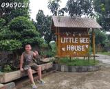 Cơ hội đầu tư khu nghỉ dưỡng Little Bee House Lương Sơn, Hòa Bình, giá đầu tư