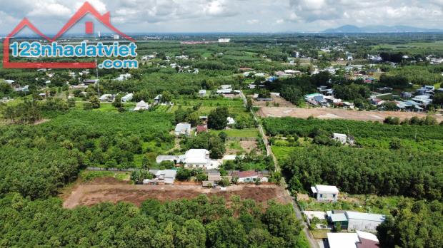 Cần Bán thửa đất vườn diện tích 4000m2 tại xã Phước An Nhơn Trạch Đồng Nai - 3