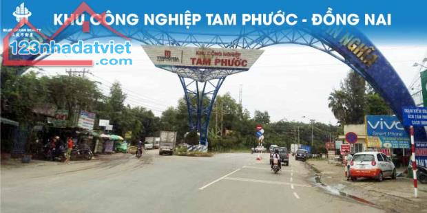 Đất Tam Phước 95m2 Sổ Riêng Thổ Đường Phùng Hưng Biên Hoà Đồng Nai Giá Chỉ 900tr - 4