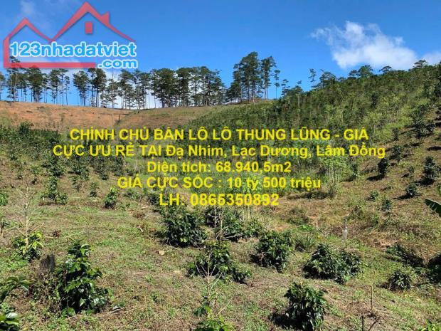 CHÍNH CHỦ BÁN LÔ LÔ THUNG LŨNG - GIÁ CỰC ƯU RẺ TẠI Đạ Nhim, Lạc Dương, Lâm Đồng