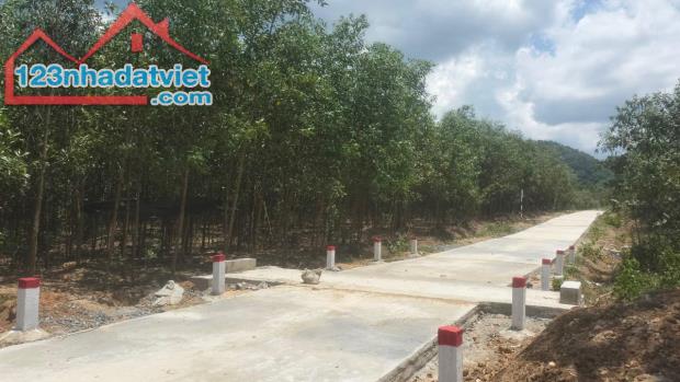 bán đất 1,9 hecta có 2 mặt tiền betong 200m giá rẻ xã Diên Tân, Diên Khánh LH 0788.558.552 - 1