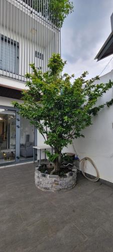 Bán Biệt thự cao cấp, có 1 không 2, khuôn viên 200m2 chỉ 5.29 tỷ TL. - 1