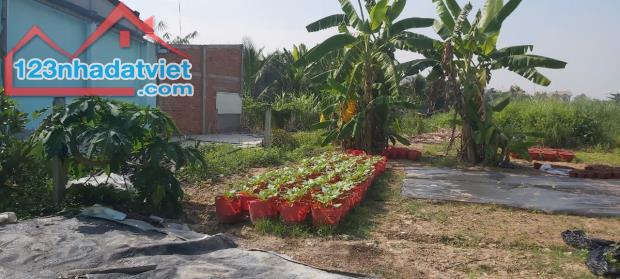 ĐẤT ĐẸP - GIÁ TỐT - CHÍNH CHỦ BÁN ĐẤT MẶT TIỀN BÊ TÔNG Tại Xã Hướng Thọ Phú, TP Tân An, - 2