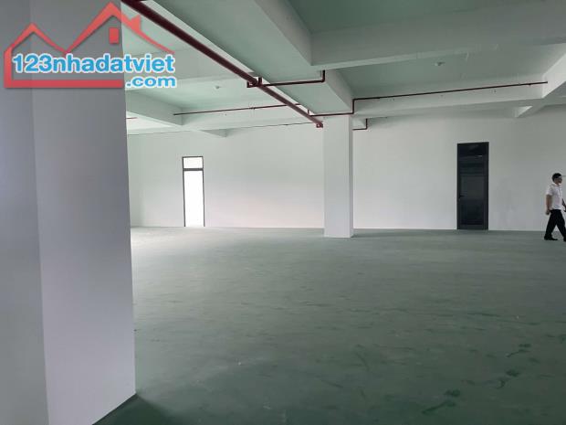 BÁN KHO XƯỞNG SẢN XUẤT – KHU ĐƯỜNG  NGÔ QUYỀN - 3.200M2 - 25 TỶ - SƠN TRÀ - KCN THỌ QUANG