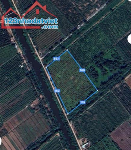 16000m2 đất vườn xã Tân Hòa,Bến Lức,Long An giá 16 tỷ - 5