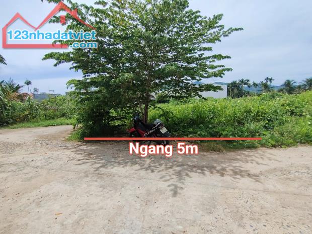 Bán đất Diên Toàn giá rẻ cách Quốc Lộ 1A chỉ 200m - 1