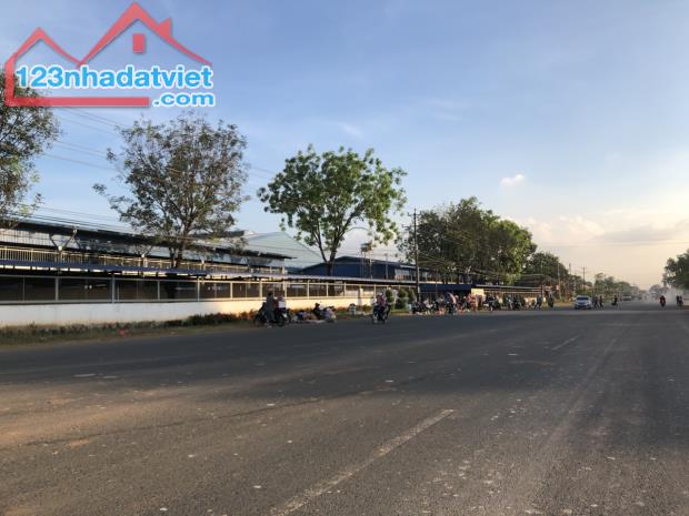 [NGÂN HÀNG DÍ - SANG GẤP] LÔ 1014m2 THỔ CƯ NGAY KCN SÁT QL13 GIÁ 260 TRIỆU - 3