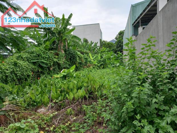 🔥 Giảm 1.3 tỷ Đất Vườn Lài Q12, 246m2, 7x35m chỉ 1x tỷ - 1