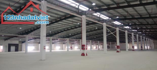 Cho thuê nhà xưởng 6.300m2 Khu CN Yên Phong – Bắc Ninh, PCCC tự động - 2