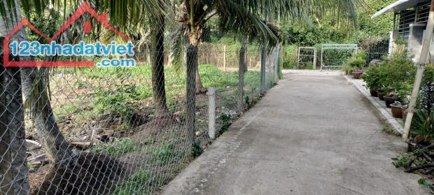 bán đất An Sơn 32 Thành Phố Thuận An, Bình Dương 
Diện tích ngang 15m x dài 32m = 500m² - 1