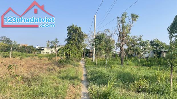 2 công đất vườn có tới 500m2 thổ cư tại P.Long Hòa, TP Gò Công, Tiền Giang - 5